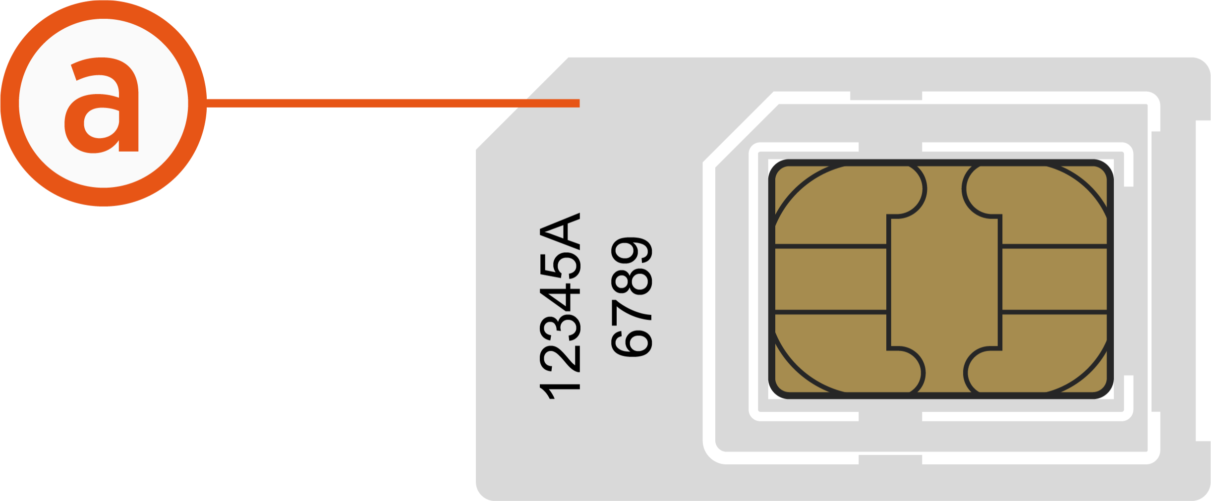 Labeled Mini SIM (2FF) Card