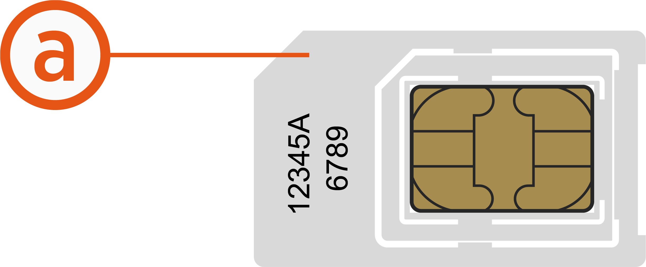 Labeled Mini SIM (2FF) Card